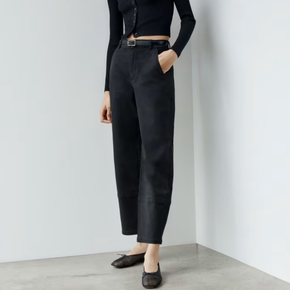 Everlane Utility Barrel Pant